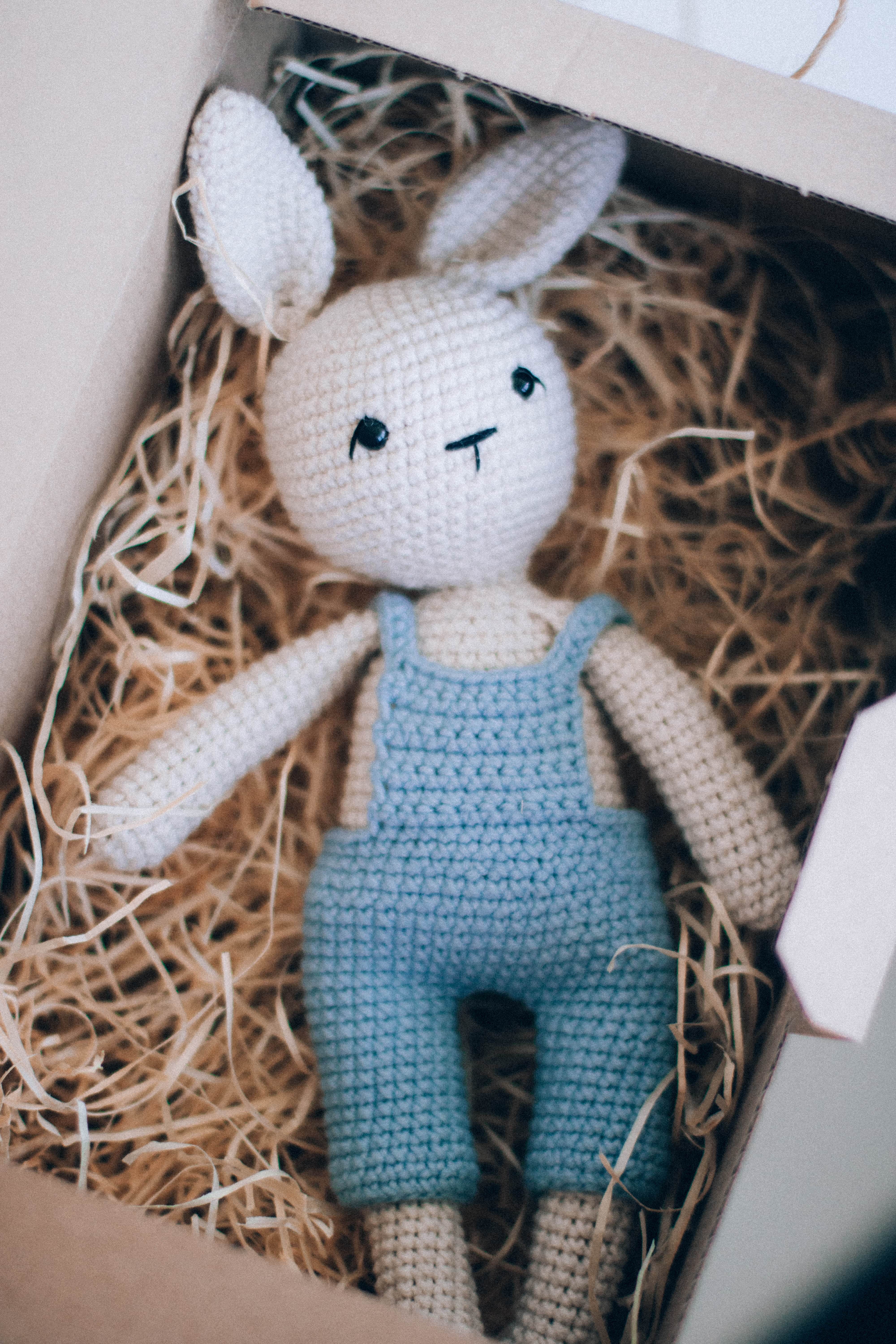 Hase